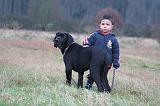 ENFANT ET CHIEN 579